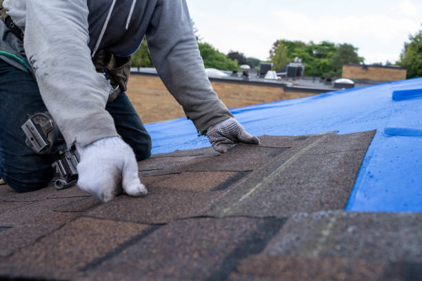 Best Roof Gutter Cleaning  in Steilacoom, WA
