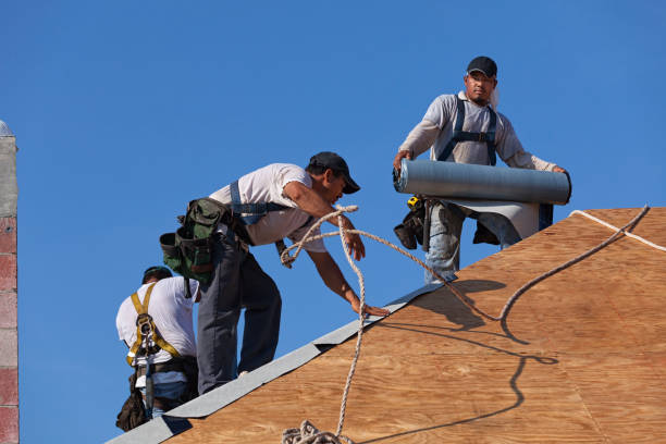 Best Shingle Roofing Installation  in Steilacoom, WA
