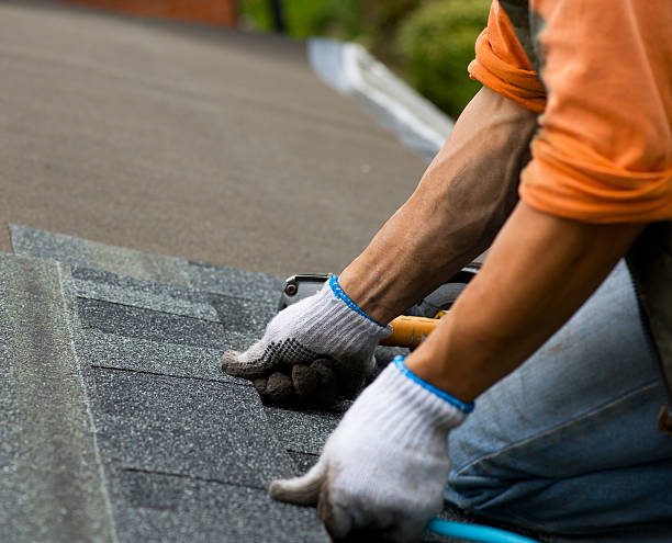 Best Local Roofing Companies  in Steilacoom, WA