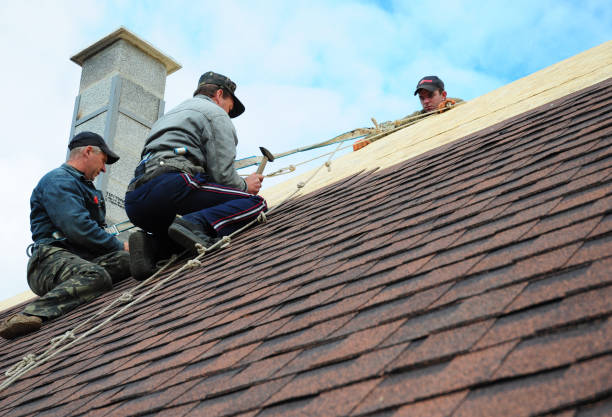 Best Best Roofing Contractors  in Steilacoom, WA